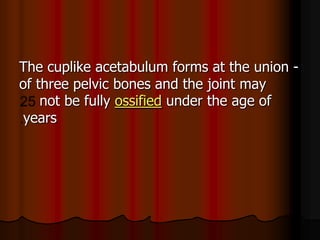 -The cuplike acetabulum forms at the union
of three pelvic bones and the joint may
under the age ofossifiednot be fully
years
 