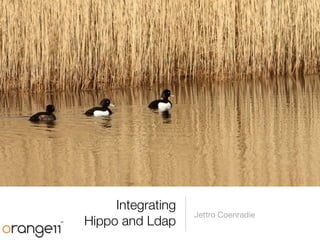 Integrating
                   Jettro Coenradie
Hippo and Ldap
 
