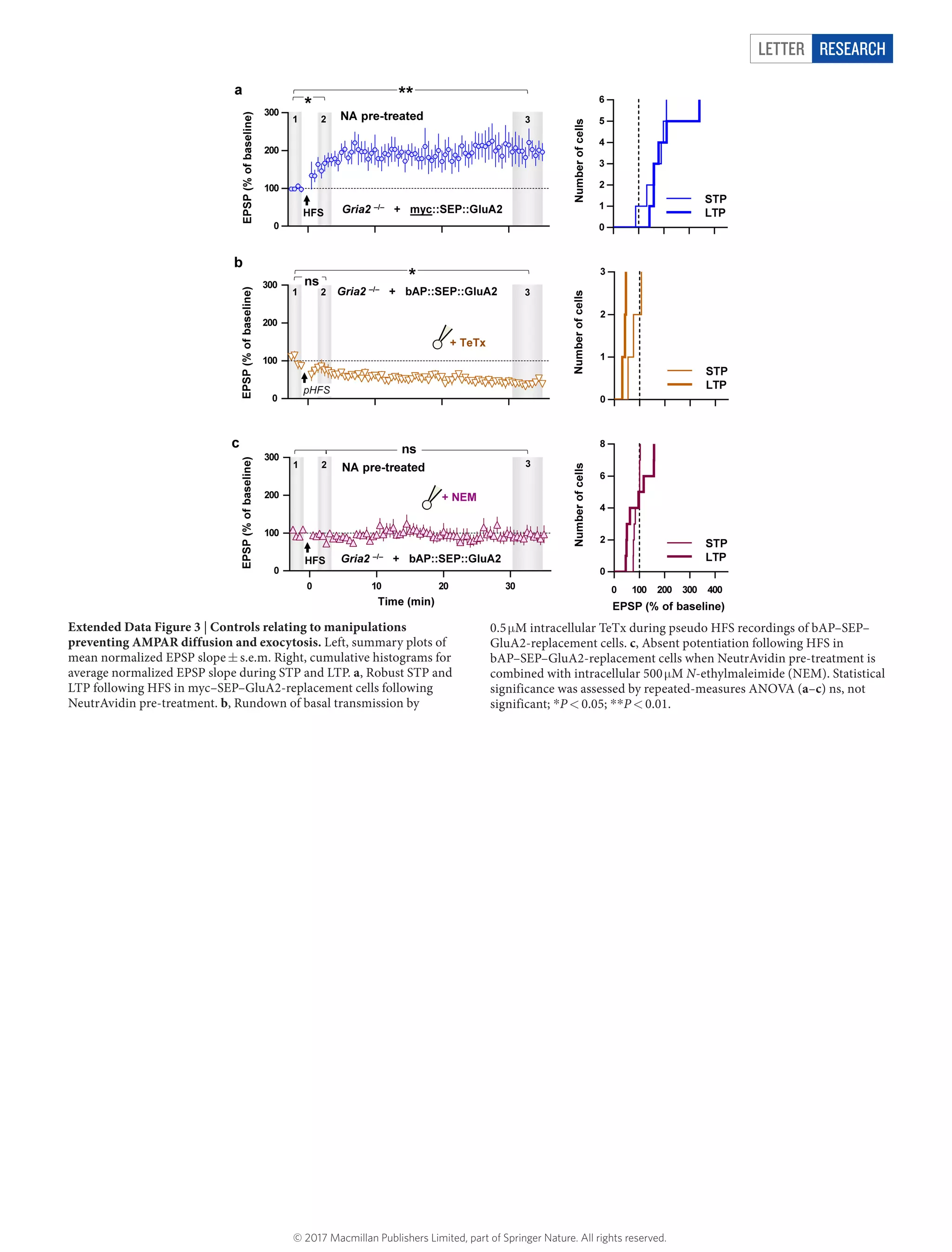Letter RESEARCH
Extended Data Figure 3 | Controls relating to manipulations
preventing AMPAR diffusion and exocytosis. Left, summary plots of
mean normalized EPSP slope ±​ s.e.m. Right, cumulative histograms for
average normalized EPSP slope during STP and LTP. a, Robust STP and
LTP following HFS in myc–SEP–GluA2-replacement cells following
NeutrAvidin pre-treatment. b, Rundown of basal transmission by
0.5 μ​M intracellular TeTx during pseudo HFS recordings of bAP–SEP–
GluA2-replacement cells. c, Absent potentiation following HFS in
bAP–SEP–GluA2-replacement cells when NeutrAvidin pre-treatment is
combined with intracellular 500 μ​M N-ethylmaleimide (NEM). Statistical
significance was assessed by repeated-measures ANOVA (a–c) ns, not
significant; *​P <​ 0.05; *​*​P <​ 0.01.
© 2017 Macmillan Publishers Limited, part of Springer Nature. All rights reserved.
 
