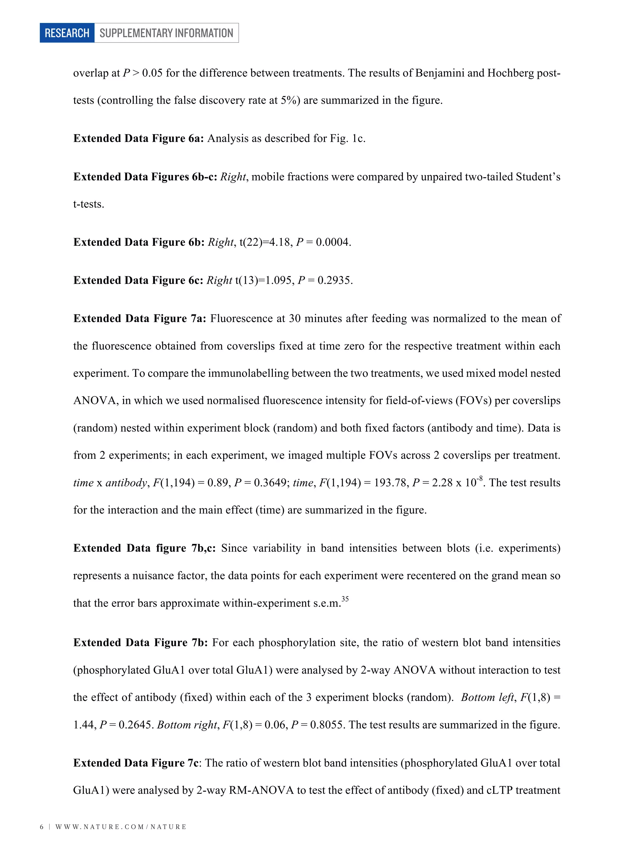 SUPPLEMENTARY INFORMATION
6 | W W W. N A T U R E . C O M / N A T U R E
RESEARCH
overlap at P > 0.05 for the difference between treatments. The results of Benjamini and Hochberg post-
tests (controlling the false discovery rate at 5%) are summarized in the figure.
Extended Data Figure 6a: Analysis as described for Fig. 1c.
Extended Data Figures 6b-c: Right, mobile fractions were compared by unpaired two-tailed Student’s
t-tests.
Extended Data Figure 6b: Right, t(22)=4.18, P = 0.0004.
Extended Data Figure 6c: Right t(13)=1.095, P = 0.2935.
Extended Data Figure 7a: Fluorescence at 30 minutes after feeding was normalized to the mean of
the fluorescence obtained from coverslips fixed at time zero for the respective treatment within each
experiment. To compare the immunolabelling between the two treatments, we used mixed model nested
ANOVA, in which we used normalised fluorescence intensity for field-of-views (FOVs) per coverslips
(random) nested within experiment block (random) and both fixed factors (antibody and time). Data is
from 2 experiments; in each experiment, we imaged multiple FOVs across 2 coverslips per treatment.
time x antibody, F(1,194) = 0.89, P = 0.3649; time, F(1,194) = 193.78, P = 2.28 x 10-8
. The test results
for the interaction and the main effect (time) are summarized in the figure.
Extended Data figure 7b,c: Since variability in band intensities between blots (i.e. experiments)
represents a nuisance factor, the data points for each experiment were recentered on the grand mean so
that the error bars approximate within-experiment s.e.m.35
	
Extended Data Figure 7b: For each phosphorylation site, the ratio of western blot band intensities
(phosphorylated GluA1 over total GluA1) were analysed by 2-way ANOVA without interaction to test
the effect of antibody (fixed) within each of the 3 experiment blocks (random). Bottom left, F(1,8) =
1.44, P = 0.2645. Bottom right, F(1,8) = 0.06, P = 0.8055. The test results are summarized in the figure.
Extended Data Figure 7c: The ratio of western blot band intensities (phosphorylated GluA1 over total
GluA1) were analysed by 2-way RM-ANOVA to test the effect of antibody (fixed) and cLTP treatment
 