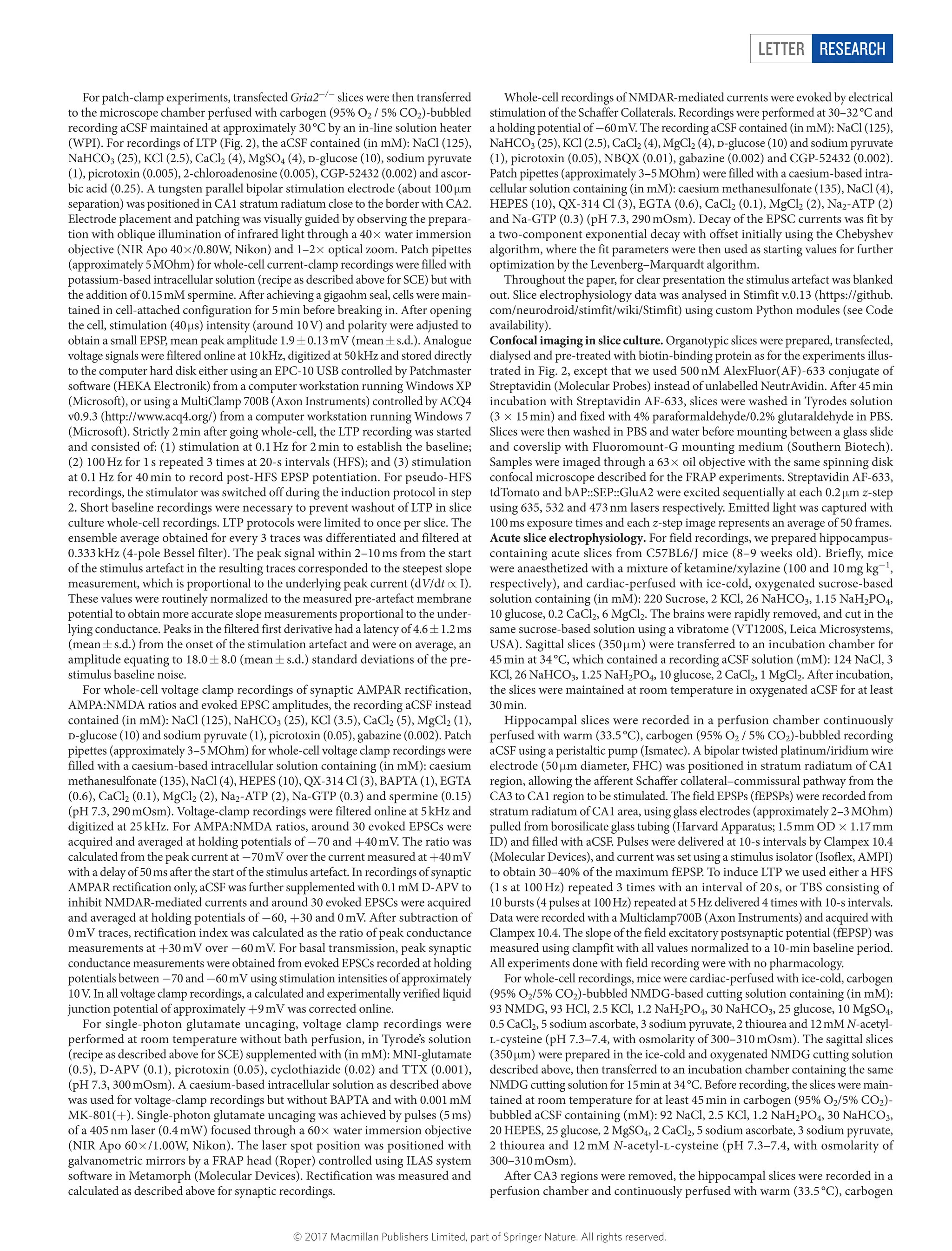 Letter RESEARCH
For patch-clamp experiments, transfected Gria2−/−
slices were then transferred
to the microscope chamber perfused with carbogen (95% O2 / 5% CO2)-bubbled
recording aCSF maintained at approximately 30 °C by an in-line solution heater
(WPI). For recordings of LTP (Fig. 2), the aCSF contained (in mM): NaCl (125),
NaHCO3 (25), KCl (2.5), CaCl2 (4), MgSO4 (4), d-glucose (10), sodium pyruvate
(1), picrotoxin (0.005), 2-chloroadenosine (0.005), CGP-52432 (0.002) and ascor-
bic acid (0.25). A tungsten parallel bipolar stimulation electrode (about 100 μ​m
separation) was positioned in CA1 stratum radiatum close to the border with CA2.
Electrode ­placement and patching was visually guided by observing the prepara-
tion with oblique ­illumination of infrared light through a 40×​water immersion
objective (NIR Apo 40×​/0.80W, Nikon) and 1–2×​optical zoom. Patch pipettes
(approximately 5 MOhm) for whole-cell current-clamp recordings were filled with
potassium-based intracellular solution (recipe as described above for SCE) but with
the addition of 0.15 mM spermine. After achieving a gigaohm seal, cells were main-
tained in cell-attached configuration for 5 min before breaking in. After opening
the cell, stimulation (40 μ​s) intensity (around 10 V) and polarity were adjusted to
obtain a small EPSP, mean peak amplitude 1.9 ±​ 0.13 mV (mean ±​ s.d.). Analogue
voltage signals were filtered online at 10 kHz, digitized at 50 kHz and stored directly
to the computer hard disk either using an EPC-10 USB controlled by Patchmaster
software (HEKA Electronik) from a computer workstation running Windows XP
(Microsoft), or using a MultiClamp 700B (Axon Instruments) controlled by ACQ4
v0.9.3 (http://www.acq4.org/) from a computer workstation running Windows 7
(Microsoft). Strictly 2 min after going whole-cell, the LTP recording was started
and consisted of: (1) stimulation at 0.1 Hz for 2 min to establish the baseline;
(2) 100 Hz for 1 s repeated 3 times at 20-s intervals (HFS); and (3) stimulation
at 0.1 Hz for 40 min to record post-HFS EPSP potentiation. For pseudo-HFS
recordings, the stimulator was switched off during the induction protocol in step
2. Short baseline recordings were necessary to prevent washout of LTP in slice
culture whole-cell recordings. LTP protocols were limited to once per slice. The
ensemble average obtained for every 3 traces was differentiated and filtered at
0.333 kHz (4-pole Bessel filter). The peak signal within 2–10 ms from the start
of the stimulus artefact in the resulting traces corresponded to the steepest slope
measurement, which is proportional to the underlying peak current (dV/dt ∝​ I).
These values were routinely normalized to the measured pre-artefact membrane
potential to obtain more accurate slope measurements proportional to the under-
lying conductance. Peaks in the filtered first derivative had a latency of 4.6 ±​ 1.2 ms
(mean ±​ s.d.) from the onset of the stimulation artefact and were on average, an
amplitude equating to 18.0 ±​ 8.0 (mean ±​ s.d.) standard deviations of the pre-­
stimulus baseline noise.
For whole-cell voltage clamp recordings of synaptic AMPAR rectification,
AMPA:NMDA ratios and evoked EPSC amplitudes, the recording aCSF instead
contained (in mM): NaCl (125), NaHCO3 (25), KCl (3.5), CaCl2 (5), MgCl2 (1),
d-glucose (10) and sodium pyruvate (1), picrotoxin (0.05), gabazine (0.002). Patch
pipettes (approximately 3–5 MOhm) for whole-cell voltage clamp recordings were
filled with a caesium-based intracellular solution containing (in mM): caesium
methanesulfonate (135), NaCl (4), HEPES (10), QX-314 Cl (3), BAPTA (1), EGTA
(0.6), CaCl2 (0.1), MgCl2 (2), Na2-ATP (2), Na-GTP (0.3) and spermine (0.15)
(pH 7.3, 290 mOsm). Voltage-clamp recordings were filtered online at 5 kHz and
­digitized at 25 kHz. For AMPA:NMDA ratios, around 30 evoked EPSCs were
acquired and averaged at holding potentials of −​70 and +​40 mV. The ratio was
calculated from the peak current at −​70 mV over the current measured at +​40 mV
with a delay of 50 ms after the start of the stimulus artefact. In recordings of ­synaptic
AMPAR rectification only, aCSF was further supplemented with 0.1 mM D-APV to
inhibit NMDAR-mediated currents and around 30 evoked EPSCs were acquired
and averaged at holding potentials of −​60, +​30 and 0 mV. After subtraction of
0 mV traces, rectification index was calculated as the ratio of peak conductance
measurements at +​30 mV over −​60 mV. For basal transmission, peak synaptic
conductance measurements were obtained from evoked EPSCs recorded at holding
potentials between −​70 and −​60 mV using stimulation intensities of approximately
10 V. In all voltage clamp recordings, a calculated and experimentally verified liquid
junction potential of approximately +​9 mV was corrected online.
For single-photon glutamate uncaging, voltage clamp recordings were
­performed at room temperature without bath perfusion, in Tyrode’s solution
(recipe as described above for SCE) supplemented with (in mM): MNI-glutamate
(0.5), D-APV (0.1), picrotoxin (0.05), cyclothiazide (0.02) and TTX (0.001),
(pH 7.3, 300 mOsm). A caesium-based intracellular solution as described above
was used for voltage-clamp recordings but without BAPTA and with 0.001 mM
MK-801(+​). Single-photon glutamate uncaging was achieved by pulses (5 ms)
of a 405 nm laser (0.4 mW) focused through a 60×​water immersion objective
(NIR Apo 60×​/1.00W, Nikon). The laser spot position was positioned with
­galvanometric mirrors by a FRAP head (Roper) controlled using ILAS system
software in Metamorph (Molecular Devices). Rectification was measured and
calculated as described above for synaptic recordings.
Whole-cell recordings of NMDAR-mediated currents were evoked by electrical
stimulation of the Schaffer Collaterals. Recordings were performed at 30–32 °C and
a holding potential of −​60 mV. The recording aCSF contained (in mM): NaCl (125),
NaHCO3 (25), KCl (2.5), CaCl2 (4), MgCl2 (4), d-glucose (10) and sodium pyruvate
(1), picrotoxin (0.05), NBQX (0.01), gabazine (0.002) and CGP-52432 (0.002).
Patch pipettes (approximately 3–5 MOhm) were filled with a caesium-based intra-
cellular solution containing (in mM): caesium methanesulfonate (135), NaCl (4),
HEPES (10), QX-314 Cl (3), EGTA (0.6), CaCl2 (0.1), MgCl2 (2), Na2-ATP (2)
and Na-GTP (0.3) (pH 7.3, 290 mOsm). Decay of the EPSC currents was fit by
a two-component exponential decay with offset initially using the Chebyshev
algorithm, where the fit parameters were then used as starting values for further
optimization by the Levenberg–Marquardt algorithm.
Throughout the paper, for clear presentation the stimulus artefact was blanked
out. Slice electrophysiology data was analysed in Stimfit v.0.13 (https://github.
com/neurodroid/stimfit/wiki/Stimfit) using custom Python modules (see Code
availability).
Confocal imaging in slice culture. Organotypic slices were prepared, transfected,
dialysed and pre-treated with biotin-binding protein as for the experiments illus-
trated in Fig. 2, except that we used 500 nM AlexFluor(AF)-633 conjugate of
Streptavidin (Molecular Probes) instead of unlabelled NeutrAvidin. After 45 min
incubation with Streptavidin AF-633, slices were washed in Tyrodes solution
(3 ×​15 min) and fixed with 4% paraformaldehyde/0.2% glutaraldehyde in PBS.
Slices were then washed in PBS and water before mounting between a glass slide
and coverslip with Fluoromount-G mounting medium (Southern Biotech).
Samples were imaged through a 63×​oil objective with the same spinning disk
confocal microscope described for the FRAP experiments. Streptavidin AF-633,
tdTomato and bAP::SEP::GluA2 were excited sequentially at each 0.2 μ​m z-step
using 635, 532 and 473 nm lasers respectively. Emitted light was captured with
100 ms exposure times and each z-step image represents an average of 50 frames.
Acute slice electrophysiology. For field recordings, we prepared hippocampus-
containing acute slices from C57BL6/J mice (8–9 weeks old). Briefly, mice
were anaesthetized with a mixture of ketamine/xylazine (100 and 10 mg kg−1
,
­respectively), and cardiac-perfused with ice-cold, oxygenated sucrose-based
solution containing (in mM): 220 Sucrose, 2 KCl, 26 NaHCO3, 1.15 NaH2PO4,
10 glucose, 0.2 CaCl2, 6 MgCl2. The brains were rapidly removed, and cut in the
same sucrose-based solution using a vibratome (VT1200S, Leica Microsystems,
USA). Sagittal slices (350 μ​m) were transferred to an incubation chamber for
45 min at 34 °C, which contained a recording aCSF solution (mM): 124 NaCl, 3
KCl, 26 NaHCO3, 1.25 NaH2PO4, 10 glucose, 2 CaCl2, 1 MgCl2. After ­incubation,
the slices were maintained at room temperature in oxygenated aCSF for at least
30 min.
Hippocampal slices were recorded in a perfusion chamber continuously
­perfused with warm (33.5 °C), carbogen (95% O2 / 5% CO2)-bubbled recording
aCSF using a peristaltic pump (Ismatec). A bipolar twisted platinum/iridium wire
electrode (50 μ​m diameter, FHC) was positioned in stratum radiatum of CA1
region, allowing the afferent Schaffer collateral–commissural pathway from the
CA3 to CA1 region to be stimulated. The field EPSPs (fEPSPs) were recorded from
stratum radiatum of CA1 area, using glass electrodes (approximately 2–3 MOhm)
pulled from borosilicate glass tubing (Harvard Apparatus; 1.5 mm OD ×​ 1.17 mm
ID) and filled with aCSF. Pulses were delivered at 10-s intervals by Clampex 10.4
(Molecular Devices), and current was set using a stimulus isolator (Isoflex, AMPI)
to obtain 30–40% of the maximum fEPSP. To induce LTP we used either a HFS
(1 s at 100 Hz) repeated 3 times with an interval of 20 s, or TBS consisting of
10 bursts (4 pulses at 100 Hz) repeated at 5 Hz ­delivered 4 times with 10-s intervals.
Data were recorded with a Multiclamp700B (Axon Instruments) and acquired with
Clampex 10.4. The slope of the field excitatory postsynaptic potential (fEPSP) was
­measured using clampfit with all values normalized to a 10-min baseline period.
All experiments done with field recording were with no pharmacology.
For whole-cell recordings, mice were cardiac-perfused with ice-cold, ­carbogen
(95% O2/5% CO2)-bubbled NMDG-based cutting solution containing (in mM):
93 NMDG, 93 HCl, 2.5 KCl, 1.2 NaH2PO4, 30 NaHCO3, 25 glucose, 10 MgSO4,
0.5 CaCl2, 5 sodium ascorbate, 3 sodium pyruvate, 2 thiourea and 12 mM N-acetyl-
l-cysteine (pH 7.3–7.4, with osmolarity of 300–310 mOsm). The sagittal slices
(350 μ​m) were prepared in the ice-cold and oxygenated NMDG cutting solution
described above, then transferred to an incubation chamber containing the same
NMDG cutting solution for 15 min at 34 °C. Before recording, the slices were main-
tained at room temperature for at least 45 min in carbogen (95% O2/5% CO2)-
bubbled aCSF containing (mM): 92 NaCl, 2.5 KCl, 1.2 NaH2PO4, 30 NaHCO3,
20 HEPES, 25 glucose, 2 MgSO4, 2 CaCl2, 5 sodium ascorbate, 3 sodium ­pyruvate,
2 thiourea and 12 mM N-acetyl-l-cysteine (pH 7.3–7.4, with osmolarity of
300–310 mOsm).
After CA3 regions were removed, the hippocampal slices were recorded in a
perfusion chamber and continuously perfused with warm (33.5 °C), carbogen
© 2017 Macmillan Publishers Limited, part of Springer Nature. All rights reserved.
 