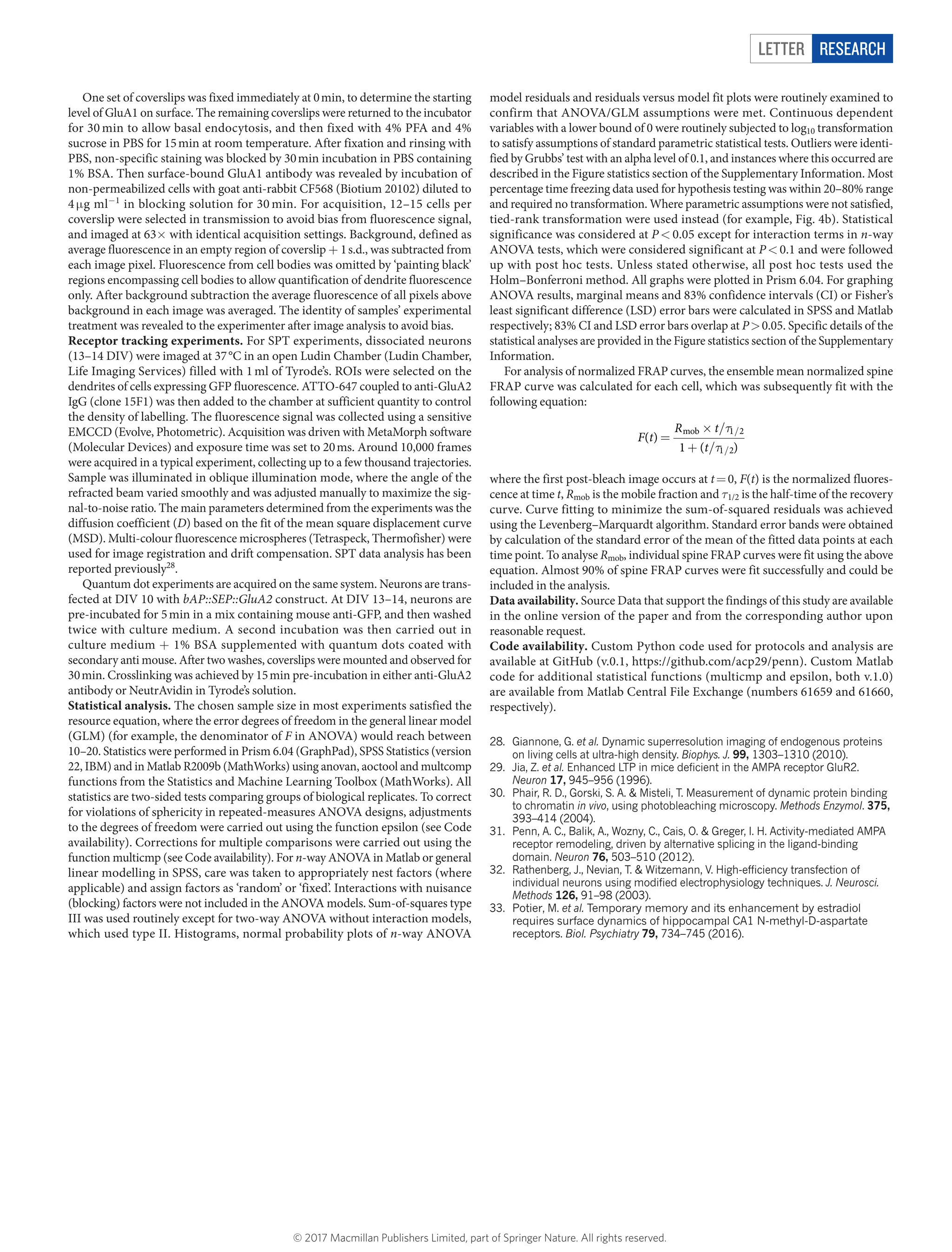 Letter RESEARCH
One set of coverslips was fixed immediately at 0 min, to determine the ­starting
level of GluA1 on surface. The remaining coverslips were returned to the ­incubator
for 30 min to allow basal endocytosis, and then fixed with 4% PFA and 4%
sucrose in PBS for 15 min at room temperature. After fixation and rinsing with
PBS, non-specific staining was blocked by 30 min incubation in PBS containing
1% BSA. Then surface-bound GluA1 antibody was revealed by incubation of
non-­permeabilized cells with goat anti-rabbit CF568 (Biotium 20102) diluted to
4 μ​g ml−1
in blocking solution for 30 min. For acquisition, 12–15 cells per
­coverslip were selected in transmission to avoid bias from fluorescence signal,
and imaged at 63×​with identical acquisition settings. Background, defined as
average ­fluorescence in an empty region of coverslip +​1 s.d., was subtracted from
each image pixel. Fluorescence from cell bodies was omitted by ‘painting black’
regions encompassing cell bodies to allow quantification of dendrite fluorescence
only. After background subtraction the average fluorescence of all pixels above
background in each image was averaged. The identity of samples’ experimental
treatment was revealed to the experimenter after image analysis to avoid bias.
Receptor tracking experiments. For SPT experiments, dissociated neurons
(13–14 DIV) were imaged at 37 °C in an open Ludin Chamber (Ludin Chamber,
Life Imaging Services) filled with 1 ml of Tyrode’s. ROIs were selected on the
dendrites of cells expressing GFP fluorescence. ATTO-647 coupled to anti-GluA2
IgG (clone 15F1) was then added to the chamber at sufficient quantity to control
the density of labelling. The fluorescence signal was collected using a sensitive
EMCCD (Evolve, Photometric). Acquisition was driven with MetaMorph software
(Molecular Devices) and exposure time was set to 20 ms. Around 10,000 frames
were acquired in a typical experiment, collecting up to a few thousand trajectories.
Sample was illuminated in oblique illumination mode, where the angle of the
refracted beam varied smoothly and was adjusted manually to maximize the sig-
nal-to-noise ratio. The main parameters determined from the experiments was the
diffusion coefficient (D) based on the fit of the mean square displacement curve
(MSD). Multi-colour fluorescence microspheres (Tetraspeck, Thermofisher) were
used for image registration and drift compensation. SPT data analysis has been
reported previously28
.
Quantum dot experiments are acquired on the same system. Neurons are trans-
fected at DIV 10 with bAP::SEP::GluA2 construct. At DIV 13–14, neurons are
pre-incubated for 5 min in a mix containing mouse anti-GFP, and then washed
twice with culture medium. A second incubation was then carried out in
culture medium +​1% BSA supplemented with quantum dots coated with
secondary anti mouse. After two washes, coverslips were mounted and observed for
30 min. Crosslinking was achieved by 15 min pre-incubation in either anti-GluA2
antibody or NeutrAvidin in Tyrode’s solution.
Statistical analysis. The chosen sample size in most experiments satisfied the
resource equation, where the error degrees of freedom in the general linear model
(GLM) (for example, the denominator of F in ANOVA) would reach between
10–20. Statistics were performed in Prism 6.04 (GraphPad), SPSS Statistics (version
22, IBM) and in Matlab R2009b (MathWorks) using anovan, aoctool and multcomp
functions from the Statistics and Machine Learning Toolbox (MathWorks). All
statistics are two-sided tests comparing groups of biological replicates. To ­correct
for violations of sphericity in repeated-measures ANOVA designs, adjustments
to the degrees of freedom were carried out using the function epsilon (see Code
­availability). Corrections for multiple comparisons were carried out using the
­function multicmp (see Code availability). For n-way ANOVA in Matlab or ­general
linear modelling in SPSS, care was taken to appropriately nest factors (where
applicable) and assign factors as ‘random’ or ‘fixed’. Interactions with nuisance
(blocking) factors were not included in the ANOVA models. Sum-of-squares type
III was used routinely except for two-way ANOVA without interaction ­models,
which used type II. Histograms, normal probability plots of n-way ANOVA
model residuals and residuals versus model fit plots were routinely examined to
confirm that ANOVA/GLM assumptions were met. Continuous dependent
­variables with a lower bound of 0 were routinely subjected to log10 transformation
to satisfy assumptions of standard parametric statistical tests. Outliers were identi-
fied by Grubbs’ test with an alpha level of 0.1, and instances where this occurred are
described in the Figure statistics section of the Supplementary Information. Most
percentage time freezing data used for hypothesis testing was within 20–80% range
and required no transformation. Where parametric assumptions were not ­satisfied,
tied-rank transformation were used instead (for example, Fig. 4b). Statistical
significance was considered at P <​ 0.05 except for interaction terms in n-way
ANOVA tests, which were considered significant at P <​ 0.1 and were followed
up with post hoc tests. Unless stated otherwise, all post hoc tests used the
Holm–Bonferroni method. All graphs were plotted in Prism 6.04. For graphing
ANOVA results, marginal means and 83% confidence intervals (CI) or Fisher’s
least ­significant difference (LSD) error bars were calculated in SPSS and Matlab
respectively; 83% CI and LSD error bars overlap at P >​ 0.05. Specific details of the
statistical analyses are provided in the Figure statistics section of the Supplementary
Information.
For analysis of normalized FRAP curves, the ensemble mean normalized spine
FRAP curve was calculated for each cell, which was subsequently fit with the
following equation:
τ
τ
=
× /
+ /
/
/
F t
R t
t
( )
1 ( )
mob 1 2
1 2
where the first post-bleach image occurs at t =​ 0, F(t) is the normalized fluores-
cence at time t, Rmob is the mobile fraction and τ1/2 is the half-time of the recovery
curve. Curve fitting to minimize the sum-of-squared residuals was achieved
using the Levenberg–Marquardt algorithm. Standard error bands were obtained
by ­calculation of the standard error of the mean of the fitted data points at each
time point. To analyse Rmob, individual spine FRAP curves were fit using the above
equation. Almost 90% of spine FRAP curves were fit successfully and could be
included in the analysis.
Data availability. Source Data that support the findings of this study are ­available
in the online version of the paper and from the corresponding author upon
­reasonable request.
Code availability. Custom Python code used for protocols and analysis are
­available at GitHub (v.0.1, https://github.com/acp29/penn). Custom Matlab
code for additional statistical functions (multicmp and epsilon, both v.1.0)
are ­available from Matlab Central File Exchange (numbers 61659 and 61660,
­respectively).
28.	 Giannone, G. et al. Dynamic superresolution imaging of endogenous proteins
on living cells at ultra-high density. Biophys. J. 99, 1303–1310 (2010).
29.	 Jia, Z. et al. Enhanced LTP in mice deficient in the AMPA receptor GluR2.
Neuron 17, 945–956 (1996).
30.	 Phair, R. D., Gorski, S. A. & Misteli, T. Measurement of dynamic protein binding
to chromatin in vivo, using photobleaching microscopy. Methods Enzymol. 375,
393–414 (2004).
31.	 Penn, A. C., Balik, A., Wozny, C., Cais, O. & Greger, I. H. Activity-mediated AMPA
receptor remodeling, driven by alternative splicing in the ligand-binding
domain. Neuron 76, 503–510 (2012).
32.	 Rathenberg, J., Nevian, T. & Witzemann, V. High-efficiency transfection of
individual neurons using modified electrophysiology techniques. J. Neurosci.
Methods 126, 91–98 (2003).
33.	 Potier, M. et al. Temporary memory and its enhancement by estradiol
requires surface dynamics of hippocampal CA1 N-methyl-D-aspartate
receptors. Biol. Psychiatry 79, 734–745 (2016).
© 2017 Macmillan Publishers Limited, part of Springer Nature. All rights reserved.
 
