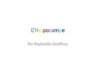L’Hippocampe
Par Raphaëlle Geoffroy.

 