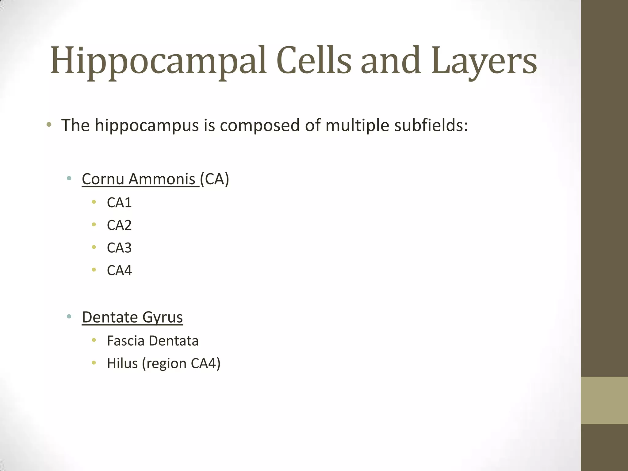 Hippocampal Cells and Layers
• The hippocampus is composed of multiple subfields:

  • Cornu Ammonis (CA)
     •   CA1
     •   CA2
     •   CA3
     •   CA4


  • Dentate Gyrus
     • Fascia Dentata
     • Hilus (region CA4)
 