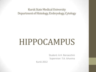 Kursk State Medical University
Department of Histology, Embryology, Cytology




HIPPOCAMPUS
                           Student: A.H. Borzacchini
                            Supervisor: T.A. Ishunina
              Kursk-2012
 