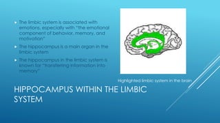 HIPPOCAMPUS WITHIN THE LIMBIC
SYSTEM
 The limbic system is associated with
emotions, especially with “the emotional
component of behavior, memory, and
motivation”
 The hippocampus is a main organ in the
limbic system
 The hippocampus in the limbic system is
known for “transferring information into
memory”
Highlighted limbic system in the brain
 