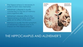 THE HIPPOCAMPUS AND ALZHEIMER’S
 The hippocampus is necessary in
order to form new memories
 Alzheimer’s disease is usually
connected to the loss of memory
and cognitive skills
 Alzheimer's disease affects the
hippocampus severely and then
goes on to affect other parts
 Memory Is usually the first symptom
of Alzheimer’s disease due to its
impact on the hippocampus
 