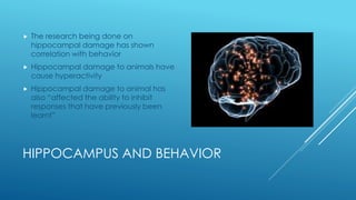 HIPPOCAMPUS AND BEHAVIOR
 The research being done on
hippocampal damage has shown
correlation with behavior
 Hippocampal damage to animals have
cause hyperactivity
 Hippocampal damage to animal has
also “affected the ability to inhibit
responses that have previously been
learnt”
 