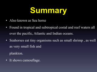Summary
• Also known as Sea horse
• Found in tropical and subtropical costal and reef waters all
over the pacific, Atlantic and Indian oceans.
• Seahorses eat tiny organisms such as small shrimp , as well
as very small fish and
plankton.
• It shows camouflage.
 