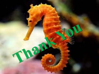 Hippocampus.pptx sahil