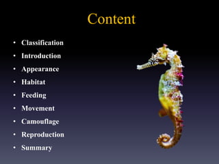 Content
• Classification
• Introduction
• Appearance
• Habitat
• Feeding
• Movement
• Camouflage
• Reproduction
• Summary
 