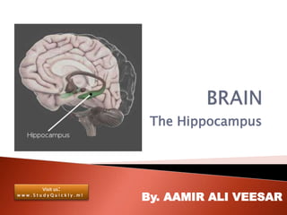 The Hippocampus
By. AAMIR ALI VEESAR
Visit us:
w w w . S t u d y Q u i c k l y . m l
 