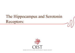 The Hippocampus and Serotonin
Receptors:

 