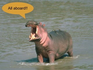 All aboard!!
 