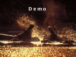 Demo 