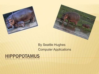 HIPPOPOTAMUS
By Seattle Hughes
Computer Applications
 