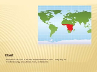 RANGE
Hippos can be found in the wild on the continent of Africa. They may be
found in swampy areas, lakes, rivers, and streams.
 