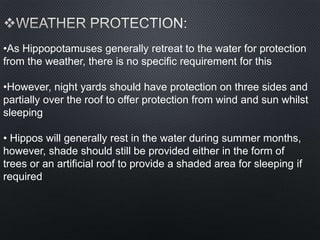 •As Hippopotamuses generally retreat to the water for protection
from the weather, there is no specific requirement for this
•However, night yards should have protection on three sides and
partially over the roof to offer protection from wind and sun whilst
sleeping
• Hippos will generally rest in the water during summer months,
however, shade should still be provided either in the form of
trees or an artificial roof to provide a shaded area for sleeping if
required
 