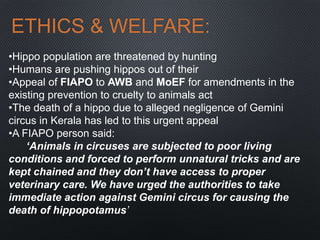 ETHICS & WELFARE:
•Hippo population are threatened by hunting
•Humans are pushing hippos out of their
•Appeal of FIAPO to AWB and MoEF for amendments in the
existing prevention to cruelty to animals act
•The death of a hippo due to alleged negligence of Gemini
circus in Kerala has led to this urgent appeal
•A FIAPO person said:
‘Animals in circuses are subjected to poor living
conditions and forced to perform unnatural tricks and are
kept chained and they don’t have access to proper
veterinary care. We have urged the authorities to take
immediate action against Gemini circus for causing the
death of hippopotamus’
 