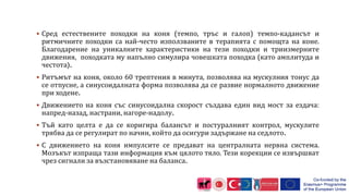  Сред естествените походки на коня (темпо, тръс и галоп) темпо-кадансът и
ритмичните походки са най-често използваните в терапията с помощта на коне.
Благодарение на уникалните характеристики на тези походки и триизмерните
движения, походката му напълно симулира човешката походка (като амплитуда и
честота).
 Ритъмът на коня, около 60 трептения в минута, позволява на мускулния тонус да
се отпусне, а синусоидалната форма позволява да се развие нормалното движение
при ходене.
 Движението на коня със синусоидална скорост създава един вид мост за ездача:
напред-назад, настрани, нагоре-надолу.
 Тъй като целта е да се коригира балансът и постуралният контрол, мускулите
трябва да се регулират по начин, който да осигури задържане на седлото.
 С движението на коня импулсите се предават на централната нервна система.
Мозъкът изпраща тази информация към цялото тяло. Тези корекции се извършват
чрез сигнали за възстановяване на баланса.
 