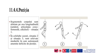  Segmentele corpului sunt
aliniate pe axa longitudinală
(umărul, articulația coxo-
femurală, călcâiul) – situația
1.
 În...