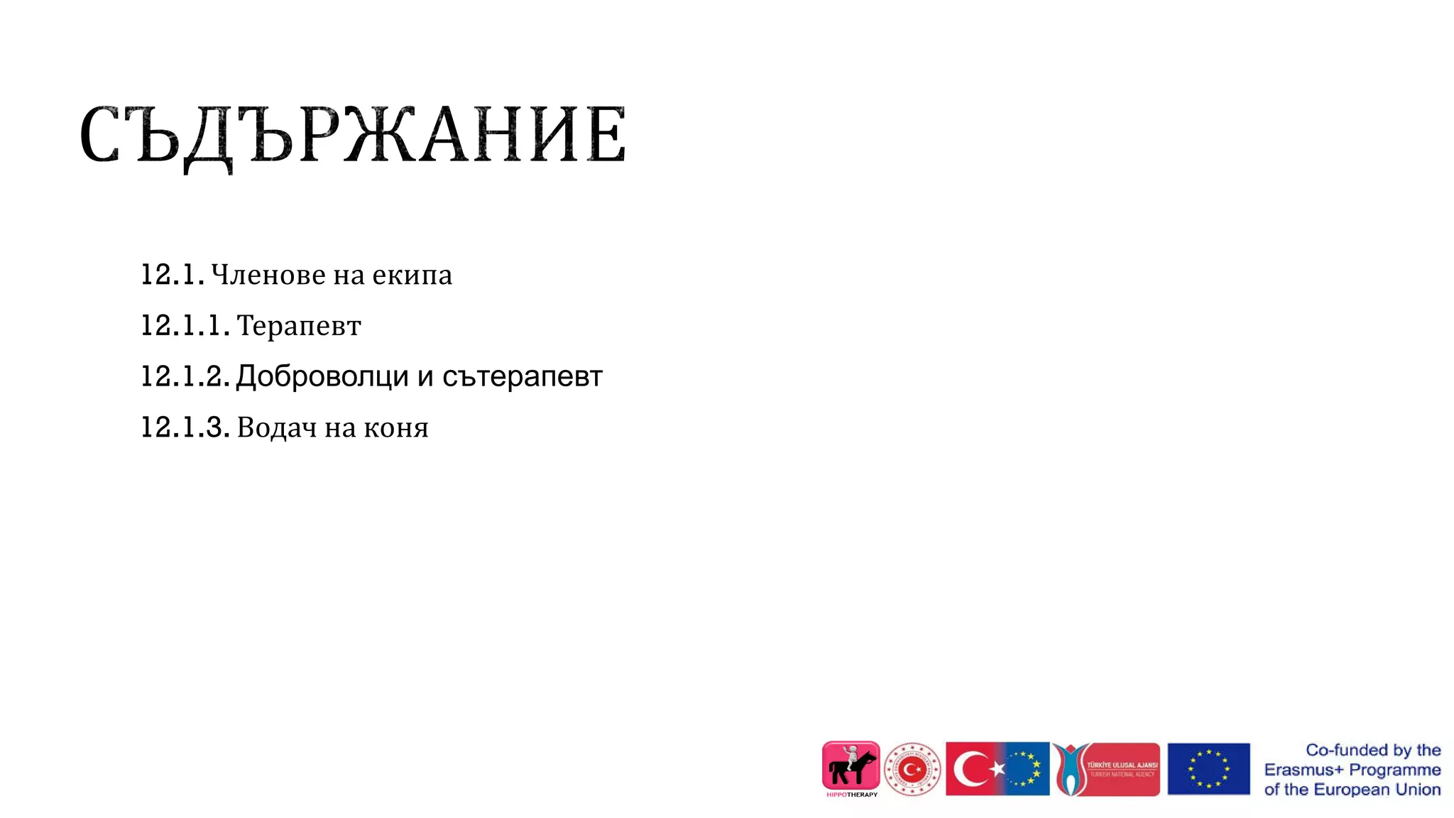 12.1. Членове на екипа
12.1.1. Терапевт
12.1.2. Доброволци и сътерапевт
12.1.3. Водач на коня
 