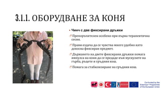  Чинч с две фиксирани дръжки
Препоръчителен особено при първа терапевтична
сесия.
Прави ездача да се чувства много удобно като
докосва фиксиран предмет.
Държането на двете фиксирани дръжки помага
импулса на коня да се предаде към мускулите на
гърба, ръцете и гръдния кош.
Помага за стабилизиране на гръдния кош.
 