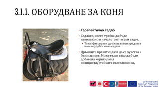  Терапевтично седло
 Седлото, което трябва да бъде
използвано в началото от всеки ездач.
 То е с фиксирани дръжки, което предлага
повече удобство на ездача.
 Дръжките правят ездача да се чувства в
безопасност. Може също така да бъде
добавена коригираща
позицията/стойката възглавничка.
 