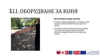  Естествено въже халтер
това е повод направен от въже с два
възела около областта на носа на
коня.
възлите изпълняват роля подобна
на тази на юздата като оказват
натиск върху областта на носа на
коня.
 