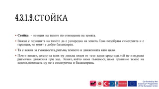  Стойка - позиция на тялото по отношение на земята.
 Важно е позицията на тялото да е успоредна на земята. Това подобрява симетрията и е
гаранция, че конят е добре балансиран.
 Тя е важна за гъвкавостта, ритъма, темпото и движенията като цяло.
 Почти винаги, когато на коня му липсва някоя от тези характеристики, той не извършва
ритмични движения при ход. Конят, който няма гъвкавост, няма правилно темпо на
ходене, походката му не е симетрична и балансирана.
 