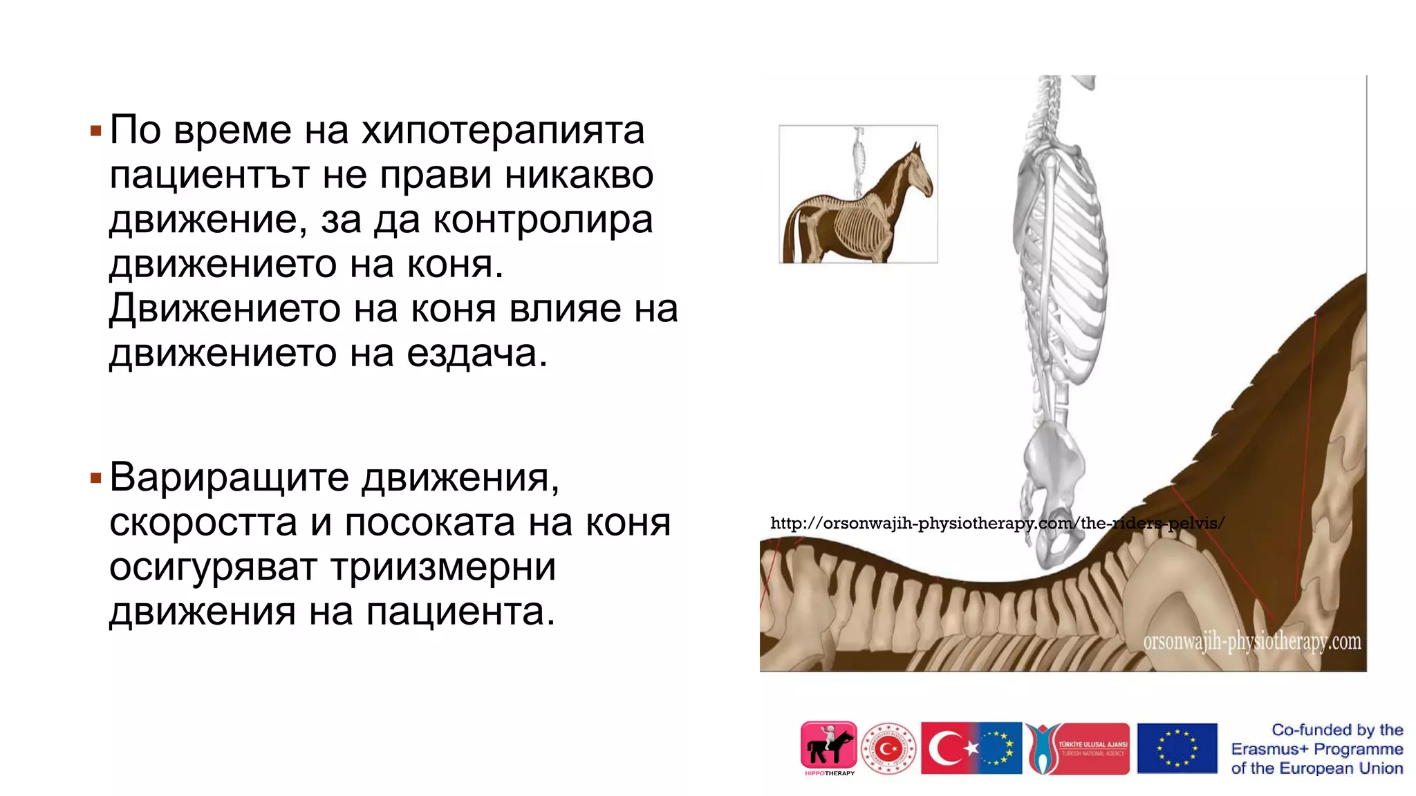 http://orsonwajih-physiotherapy.com/the-riders-pelvis/
По време на хипотерапията
пациентът не прави никакво
движение, за да контролира
движението на коня.
Движението на коня влияе на
движението на ездача.
Вариращите движения,
скоростта и посоката на коня
осигуряват триизмерни
движения на пациента.
 
