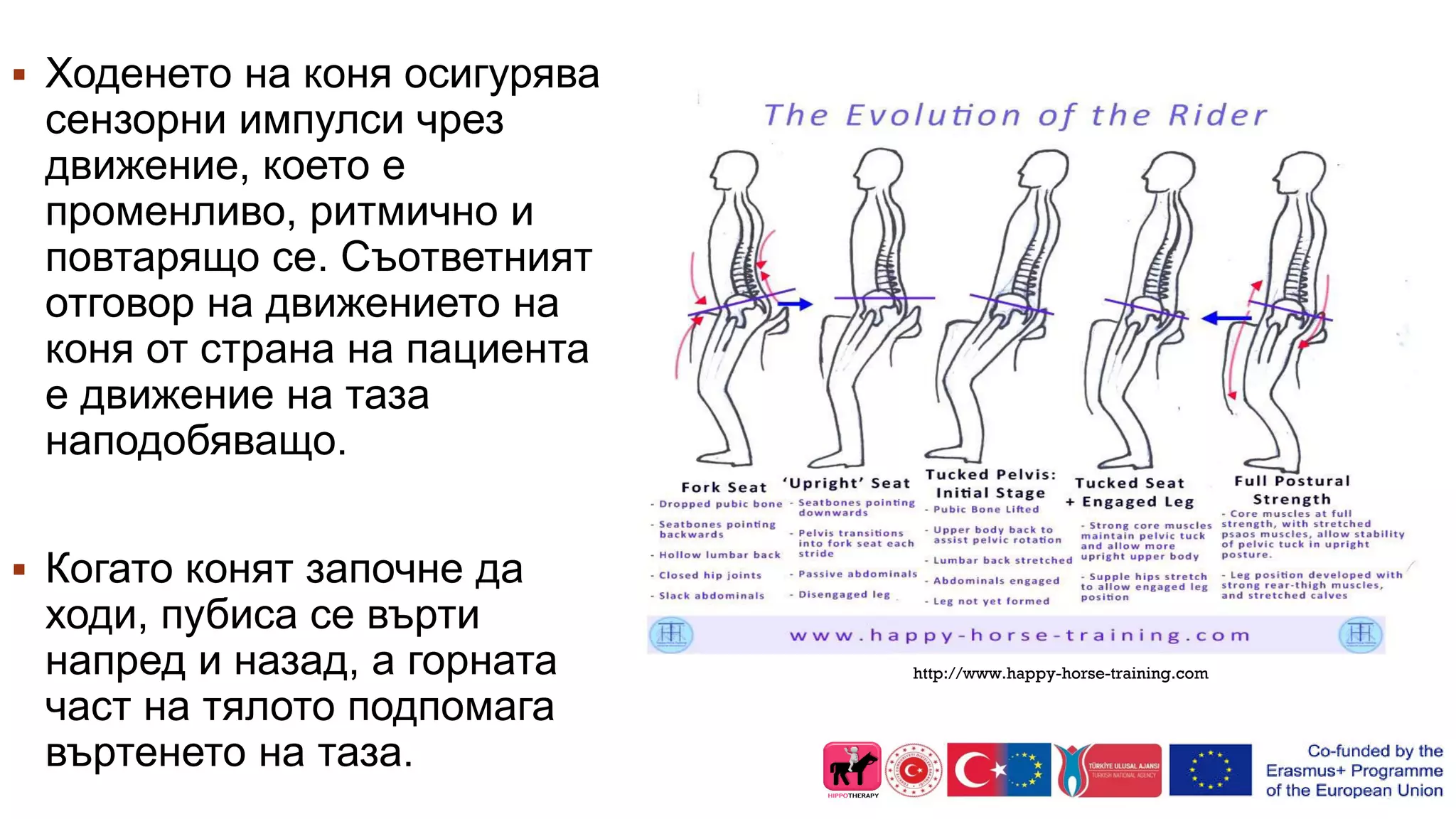 http://www.happy-horse-training.com
 Ходенето на коня осигурява
сензорни импулси чрез
движение, което е
променливо, ритмично и
повтарящо се. Съответният
отговор на движението на
коня от страна на пациента
е движение на таза
наподобяващо.
 Когато конят започне да
ходи, пубиса се върти
напред и назад, а горната
част на тялото подпомага
въртенето на таза.
 