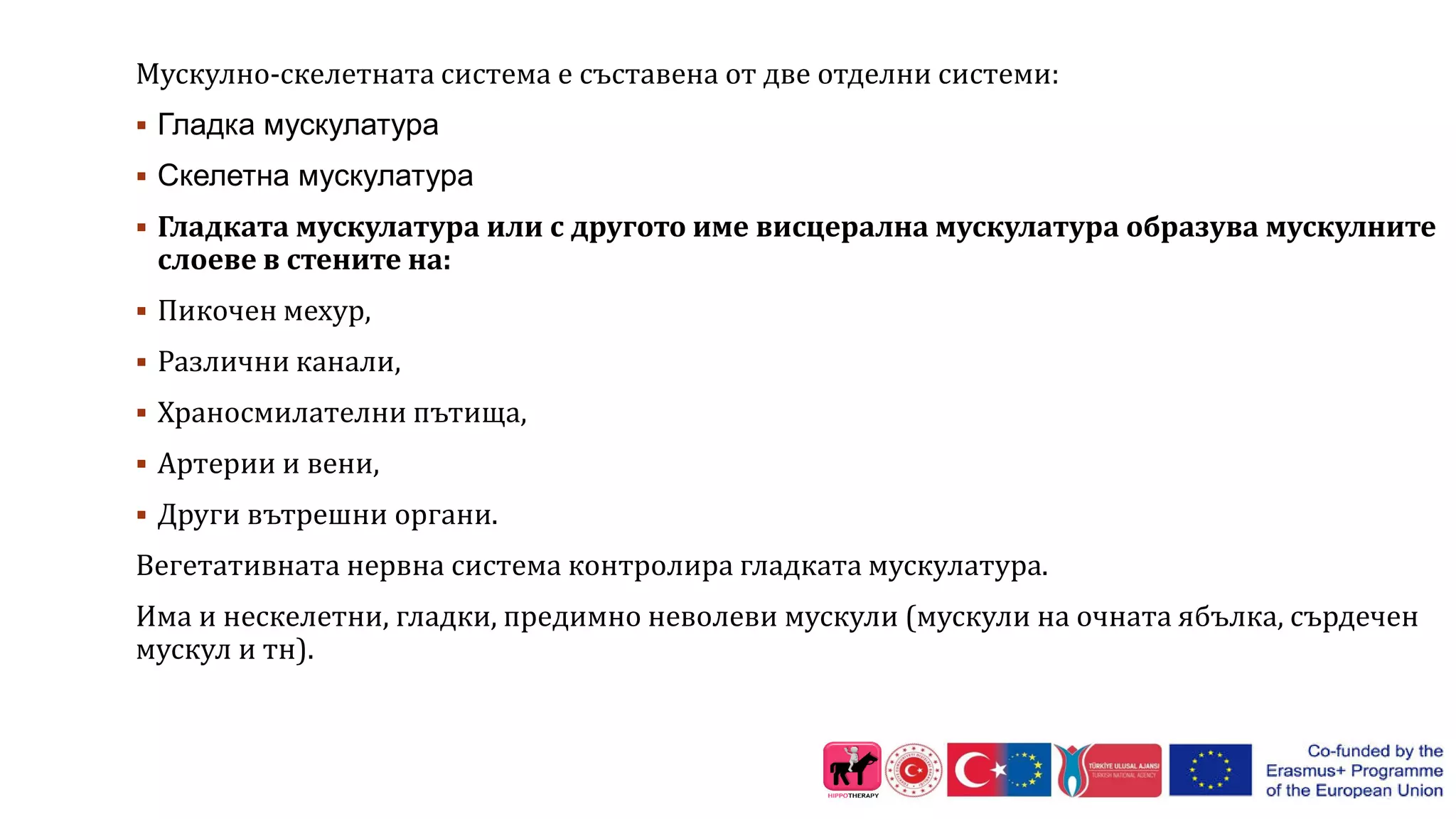 Мускулно-скелетната система е съставена от две отделни системи:
 Гладка мускулатура
 Скелетна мускулатура
 Гладката мускулатура или с другото име висцерална мускулатура образува мускулните
слоеве в стените на:
 Пикочен мехур,
 Различни канали,
 Храносмилателни пътища,
 Артерии и вени,
 Други вътрешни органи.
Вегетативната нервна система контролира гладката мускулатура.
Има и нескелетни, гладки, предимно неволеви мускули (мускули на очната ябълка, сърдечен
мускул и тн).
 