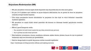 Doğrulama Reaksiyonları (RR)
• RR, yeni yerçekimi ortamına tepki olarak doğumda veya doğumdan kısa bir süre sonra gelişir.
• En çok 10-12 aylıkken ayırt edilirler ve yaşam boyunca aktif kalırlar, baş ve gövde ile vücut ve yerçekimi
arasında entegre hareket sağlarlar.
• Orta beyin seviyesinde kontrol altındadırlar ve yerçekimi ile olan ilişki ve vücut bölümleri arasındaki
ilişkilerle ilgilidirler.
• RR, yerçekimi ve uzayla ilişkili olarak yatmadan dik konuma ve dönmeye hareket geçişlerinin temelini
oluşturur.
• RR'nin 2 genel kategorisi vardır:
• Başı yerçekimi ile ilişkili olarak uzayda dik veya dikey yönlendirmeye getirmek;
• Baş ve gövdeyi karşılıklı hizaya getirmek.
• Kafa kaldırma, yuvarlanma, oturma, emekleme, sürünme, ayakta durma, yürüme, koşma vb. için ve postural
hizalamayı veya tonu korumak için gereklidirler.
• Hızlı bir denge kaybı ve ağırlık değişimine verilen otomatik tepkilerdir.
https://daveberger.net/blog/primitive-reflexes-and-righting-reactions
 