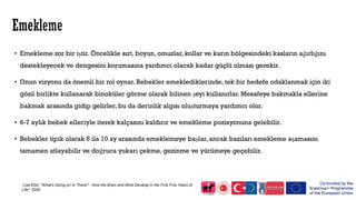 • Emekleme zor bir iştir. Öncelikle sırt, boyun, omuzlar, kollar ve karın bölgesindeki kasların ağırlığını
destekleyecek ve dengesini korumasına yardımcı olacak kadar güçlü olması gerekir.
• Onun vizyonu da önemli bir rol oynar. Bebekler emeklediklerinde, tek bir hedefe odaklanmak için iki
gözü birlikte kullanarak binoküler görme olarak bilinen şeyi kullanırlar. Mesafeye bakmakla ellerine
bakmak arasında gidip gelirler, bu da derinlik algısı oluşturmaya yardımcı olur.
• 6-7 aylık bebek elleriyle iterek kalçasını kaldırır ve emekleme pozisyonuna gelebilir.
• Bebekler tipik olarak 6 ila 10 ay arasında emeklemeye başlar, ancak bazıları emekleme aşamasını
tamamen atlayabilir ve doğruca yukarı çekme, gezinme ve yürümeye geçebilir.
Lise Eliot ;"What's Going on In There? : How the Brain and Mind Develop in the First Five Years of
Life"; 2000
 