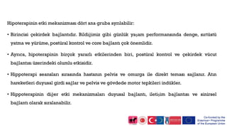 Hipoterapinin etki mekanizması dört ana gruba ayrılabilir:
• Birincisi çekirdek bağlantıdır. Bildiğimiz gibi günlük yaşam performansında denge, sırtüstü
yatma ve yürüme, postüral kontrol ve core bağlantı çok önemlidir.
• Ayrıca, hipoterapinin birçok yararlı etkilerinden biri, postüral kontrol ve çekirdek vücut
bağlantısı üzerindeki olumlu etkisidir.
• Hippoterapi seansları sırasında hastanın pelvis ve omurga ile direkt teması sağlanır. Atın
hareketleri duyusal girdi sağlar ve pelvis ve gövdede motor tepkileri indükler.
• Hippoterapinin diğer etki mekanizmaları duyusal bağlantı, iletişim bağlantısı ve sinirsel
bağlantı olarak sıralanabilir.
 