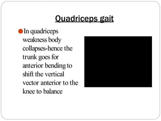 Quadriceps gait
●Inquadriceps
weaknessbody
collapses-hence the
trunk goesfor
anterior bendingto
shift the vertical
vector anterior to the
knee to balance
 