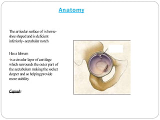Anatomy
The articular surface of ishorse-
shoe shaped and is deficient
inferiorly- acetabular notch
Has alabrum
-isacircular layer ofcartilage
which surrounds the outer part of
the acetabulum makingthe socket
deeper and so helpingprovide
more stability
Capsule
 