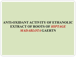ANTI-OXIDANT ACTIVITY OF ETHANOLIC
EXTRACT OF ROOTS OF HIPTAGE
MADABLOTA GAERTN
 