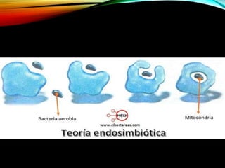Exposicion De Biologia