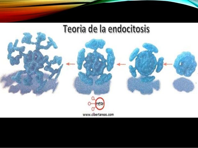 Exposicion De Biologia