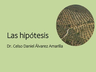 Dr. Celso Daniel Álvarez Amarilla
Las hipótesis
 