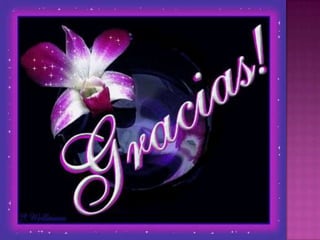 Hipótesis variables karem-rodriguez