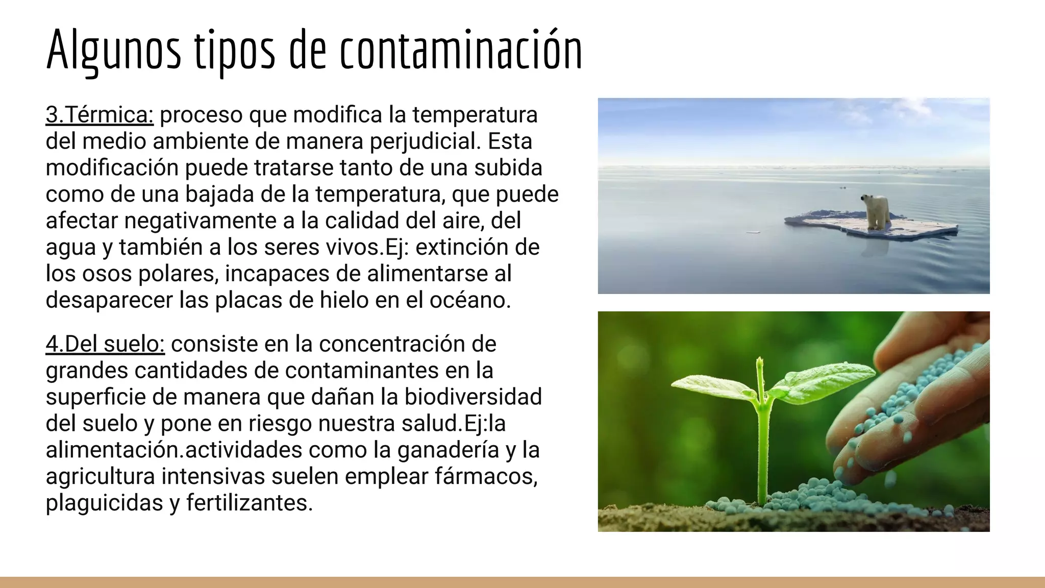 Algunos tipos de contaminación
3.Térmica: proceso que modiﬁca la temperatura
del medio ambiente de manera perjudicial. Esta
modiﬁcación puede tratarse tanto de una subida
como de una bajada de la temperatura, que puede
afectar negativamente a la calidad del aire, del
agua y también a los seres vivos.Ej: extinción de
los osos polares, incapaces de alimentarse al
desaparecer las placas de hielo en el océano.
4.Del suelo: consiste en la concentración de
grandes cantidades de contaminantes en la
superﬁcie de manera que dañan la biodiversidad
del suelo y pone en riesgo nuestra salud.Ej:la
alimentación.actividades como la ganadería y la
agricultura intensivas suelen emplear fármacos,
plaguicidas y fertilizantes.
 