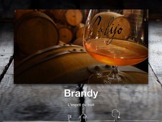 Brandy
L’esprit du fruit
 