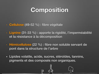 Composition
• Cellulose (49-52 %) : fibre végétale
• Lignine (31-33 %) : apporte la rigidité, l’imperméabilité
et la résistance à la décomposition
• Hémicellulose (22 %) : fibre non soluble servant de
pont dans la structure de l’arbre
• Lipides volatile, acide, sucres, stéroïdes, tannins,
pigments et des composés non organiques.
 