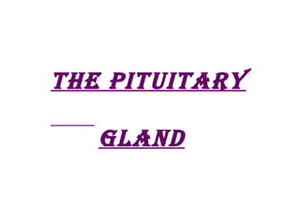THE PITUITARY

   GLAND
 