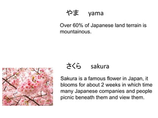 やま

yama

Over 60% of Japanese land terrain is
mountainous.

さくら

sakura

Sakura is a famous flower in Japan, it
blooms for about 2 weeks in which time
many Japanese companies and people
picnic beneath them and view them.

 