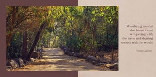 Forest Garden
Wandering amidst
the dense forest
whispering with
the trees and sharing
secrets with the winds
Actual Image of Forest Garden
 