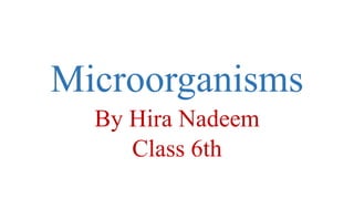 Microorganisms
By Hira Nadeem
Class 6th
 